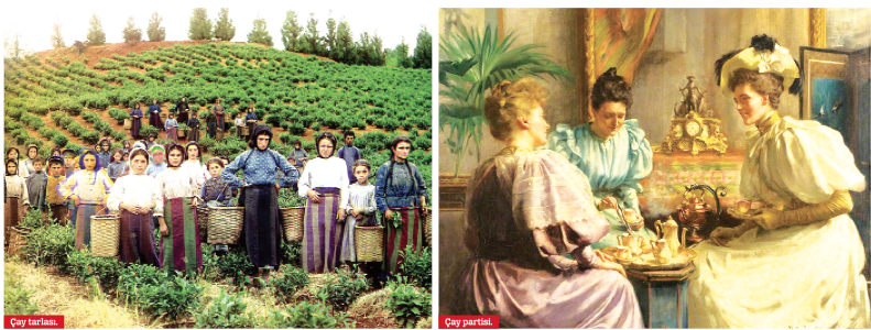 BİR BARDAK ÇAYDA KOPAN FIRTINA